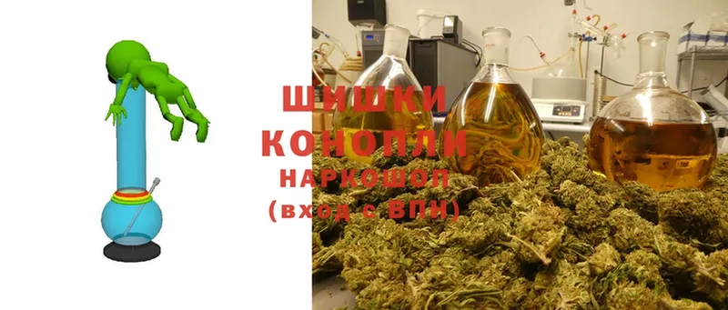 Канабис SATIVA & INDICA  гидра tor  Кадников 